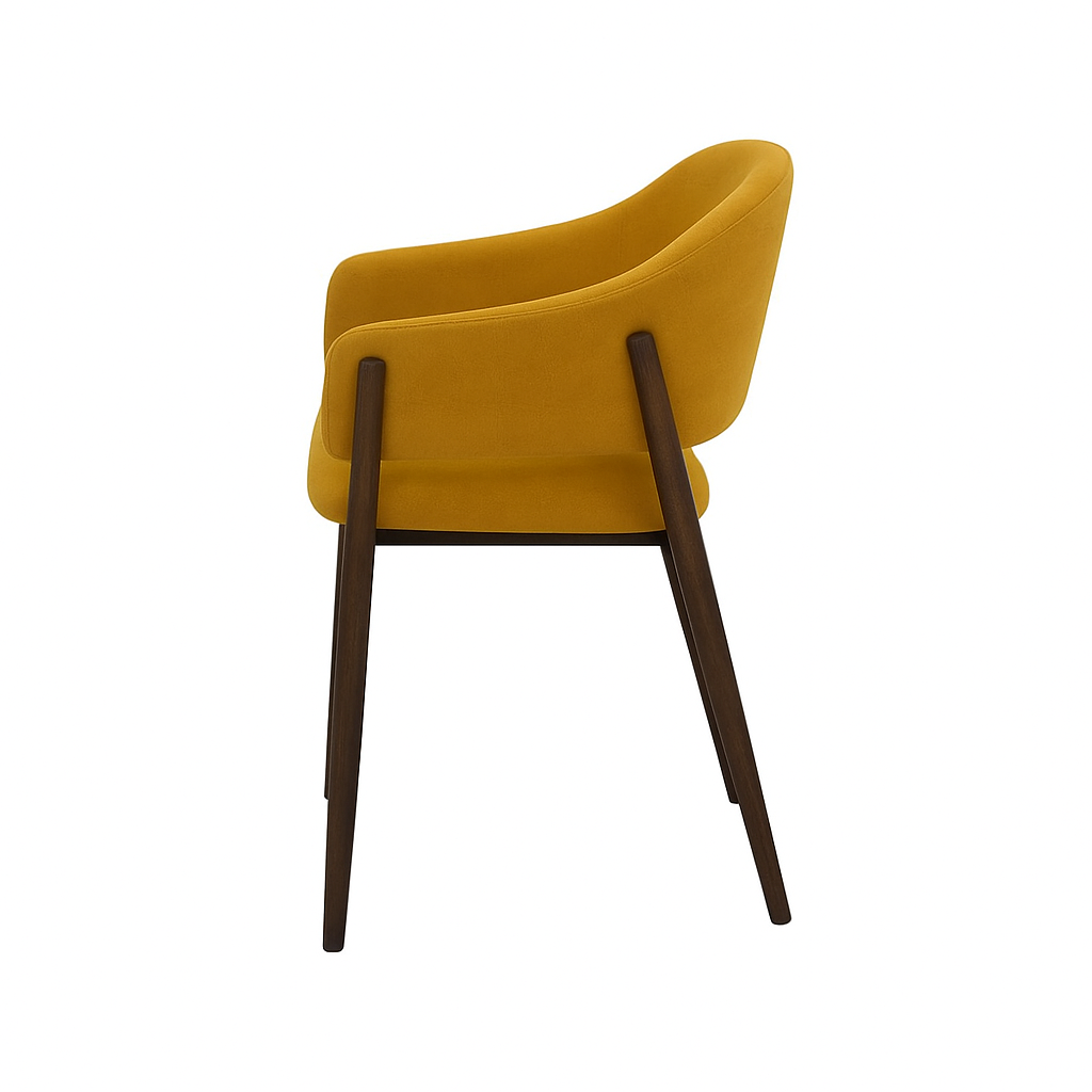 Scaun catifea BEJ | model ALBA